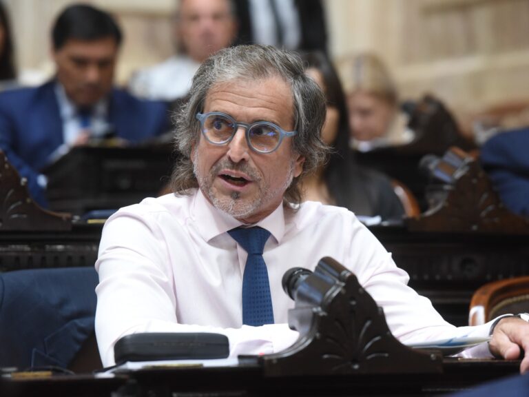 Benegas Lynch se opone al rescate de morosos: "Está el tipo que compró la televisión para el Mundial y, como Argentina no salió campeón, no quiere pagar la deuda"