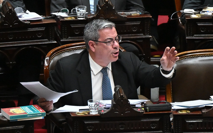 Germán Martínez, presidente del bloque de diputados de Unión por la Patria. Foto Federico López Claro
