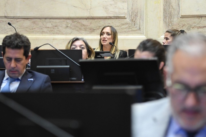 Senadora Anabel Fernández Sagasti.