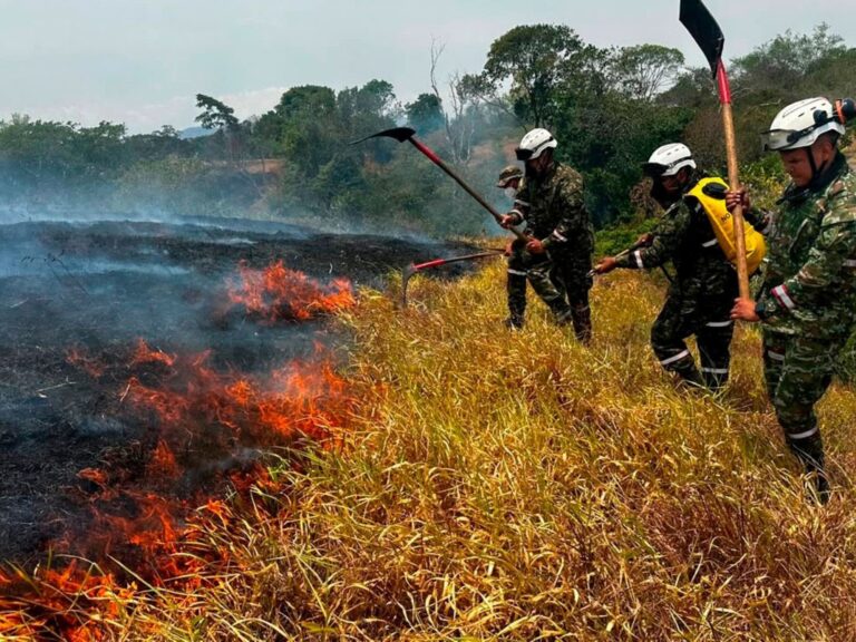 Después del terremoto, los incendios forestales arrasan miles de hectáreas en Colombia y el gobierno acusa a “manos criminales”