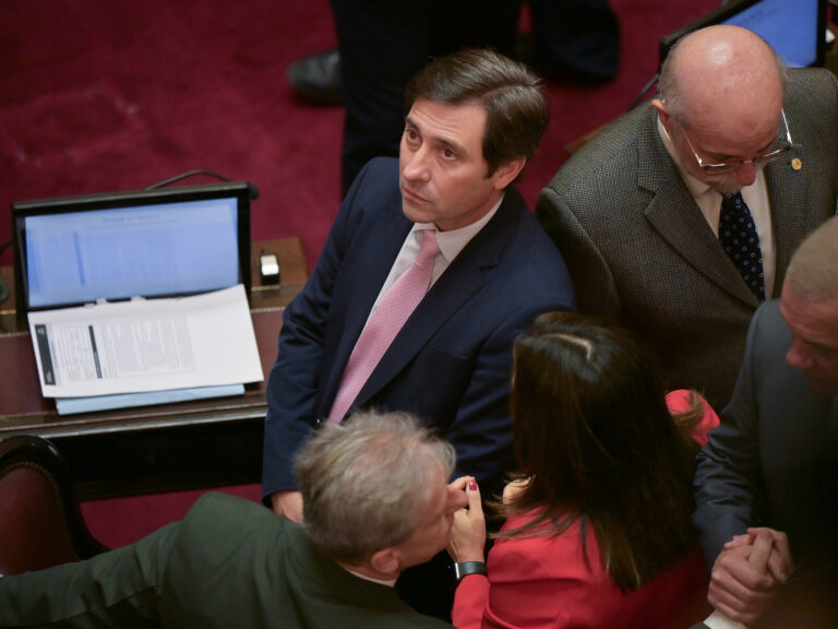 El jefe del bloque del senado del PRO defendió la idea de que el partido tenga un candidato propio en las elecciones 2027