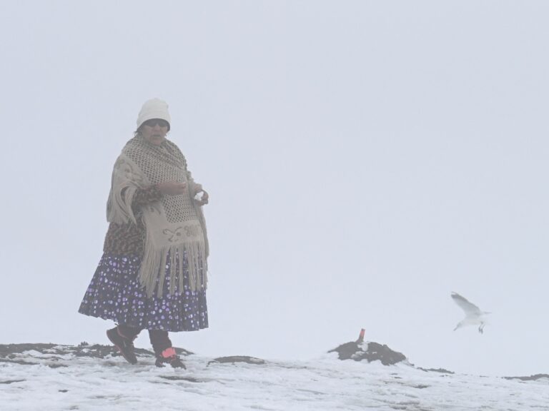 Inusuales nevadas en Bolivia dejan miles de familias damnificadas