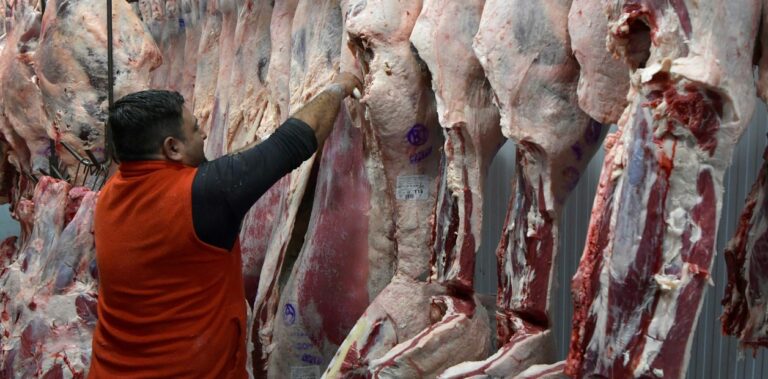 Las exportaciones de carne vacuna crecieron 42% en valor en los primeros siete meses del año