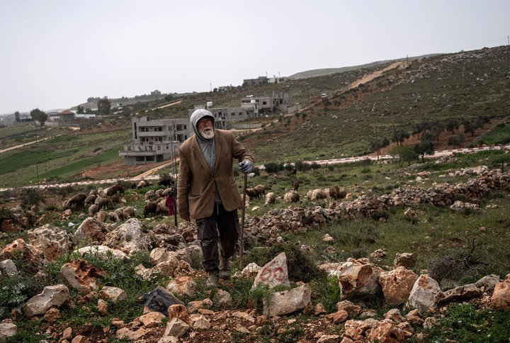 Los colonos israelíes están fuera de control. ¿Podrían unas elecciones cambiar eso?