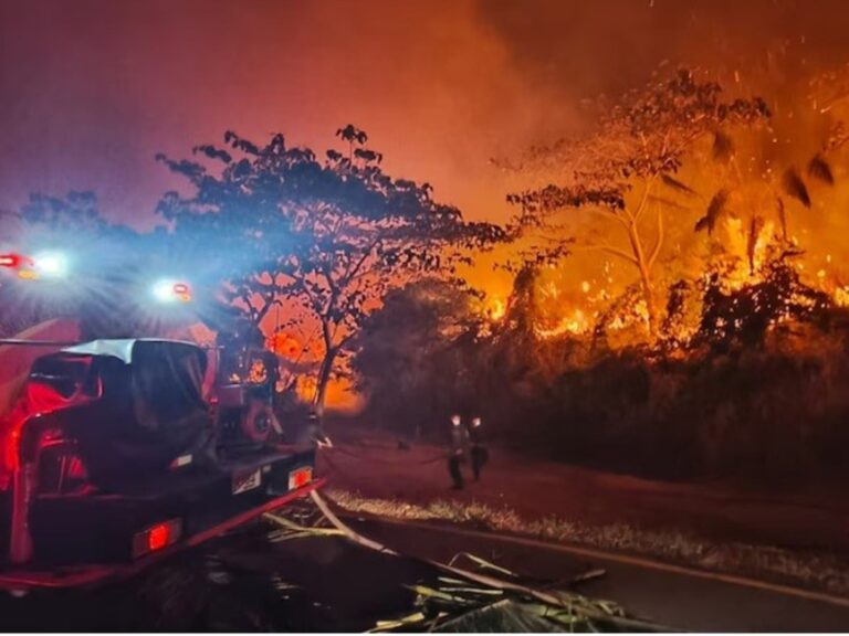 Medellín bajo fuego: enfrenta cuatro incendios forestales simultáneos en distintos puntos de la ciudad