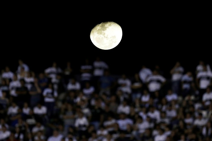 "Menos fútbol que Utilísima": la Conmebol publicó un manual con insultos, canciones y gestos que considera discriminatorios