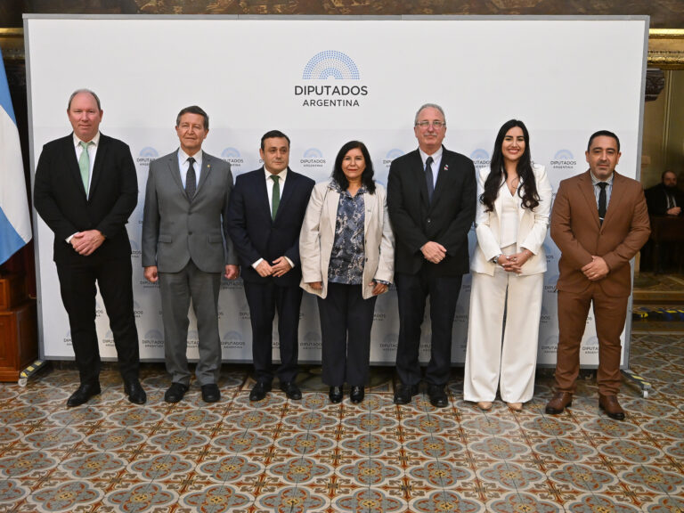 Misioneros y salteños toman distancia de Milei y presentaron su nuevo bloque: Argentina Federal