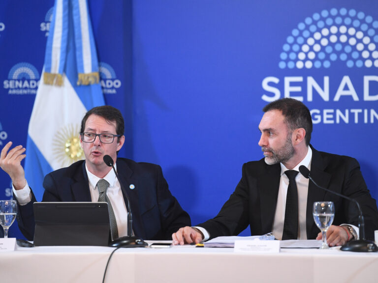 Se dilata en el Senado el debate sobre el Súper RIGI y el Gobierno busca contener el voto de los aliados