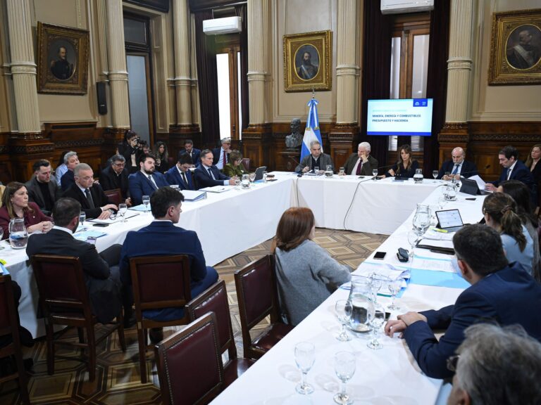 "Tenemos que dar un fin": el oficialismo impulsa cambios en la ley de Biocombustibles para llegar a un acuerdo con el sector del biodiésel
