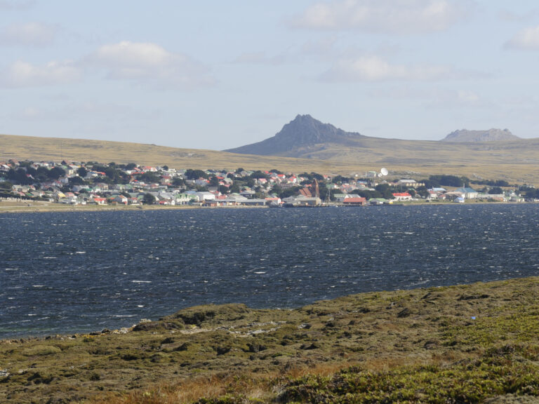 Un funcionario de Milei se cruzó con una ministra inglesa por una celebración británica en las Malvinas: "Hasta en eso mienten"