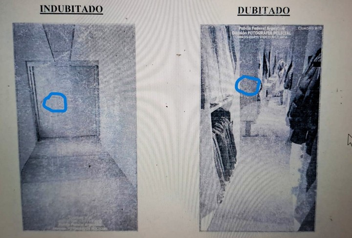Un peritaje concluye que los videos de Cirio contando dólares se grabaron en la mansión de Insaurralde