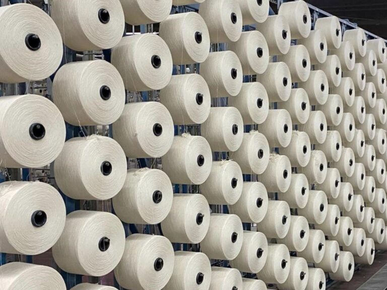 Vaca Muerta y textiles: ganadores y perdedores del modelo económico y el "tapado" que podría resurgir en 2027